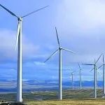 通知 | 关于发布上海市2021年度“科技创新行动计划”“一带一路”国际合作项目申报指南的通知