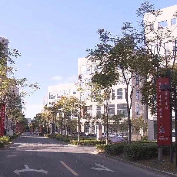 崇明这家企业再次参展进博会，明年还将打造大项目