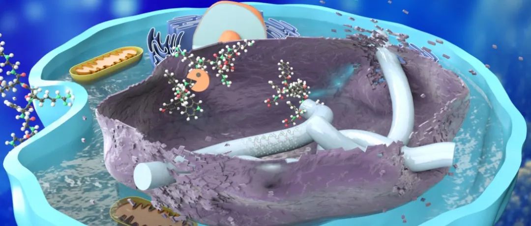 可选择性抑制癌细胞，西湖大学研发活细胞可控编程超分子组装体，有望成为新型抗癌疗法 | 专访