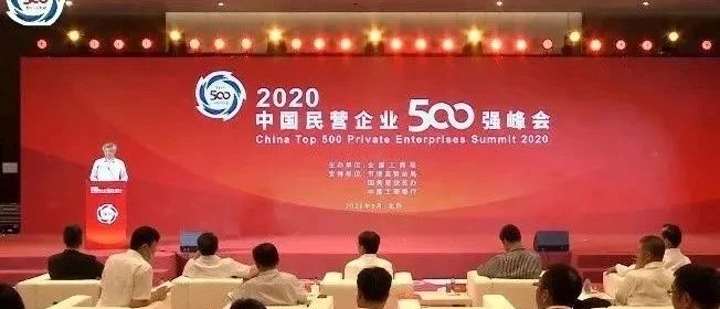 2020中国民营企业500强榜单揭晓：海王集团位列第131位！