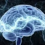 我科学家发现新的癫痫致病基因