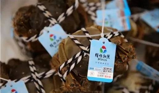 我市沭阳县、泗洪县获批2020年江苏省特色农产品优势区