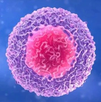 普施康生物完成亿元C轮融资，高瓴创投与复容投资联合领投