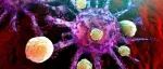 基于35种癌症类型的研究：揭示癌症—微生物的相互作用机制