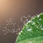速递！正腾康生物完成7500万美元B轮融资