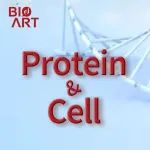 Protein & Cell丨张进团队揭示核仁定位的RNA结合蛋白LIN28调控小鼠胚胎干细胞多能性状态与二细胞样状态转变的机制