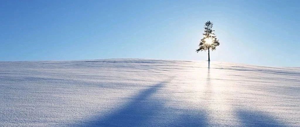 3月即将上市,首款递交上市申请的 BCMA CAR-T疗法发布关键Ⅱ期研究数据丨医麦新观察