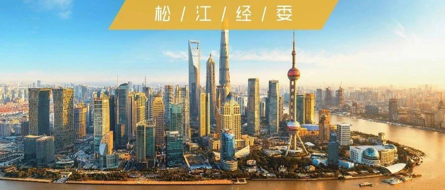 政策发布丨《上海市外商投资条例》官方英文版发布！