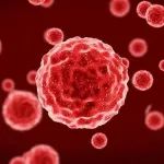 Cancer Cell：揭示花生四烯酸和γ干扰素协同诱导肿瘤细胞铁死亡机制