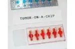 【新研究】利用器官芯片技术探索癌症的个性化免疫治疗