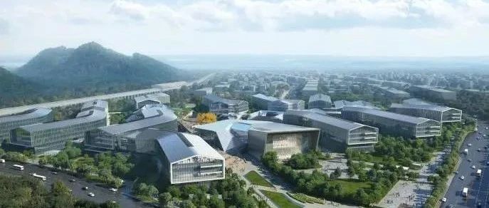 改革创新，共建共享！余杭区全力推进长三角一体化