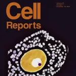 ​Cell Reports封面文章 | 范衡宇团队揭示CNOT6/6L在哺乳动物卵泡发育过程中的生理功能及机制