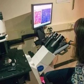 PNAS：首次揭示了细胞自我修复的分子机制！