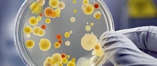 科学界新突破！Cell：科学家在人体肠道中鉴定出超过14万种病毒