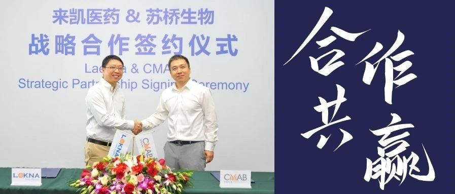 苏桥生物与来凯医药达成战略合作,助力来凯医药LAE005实现全球开发和商业化
