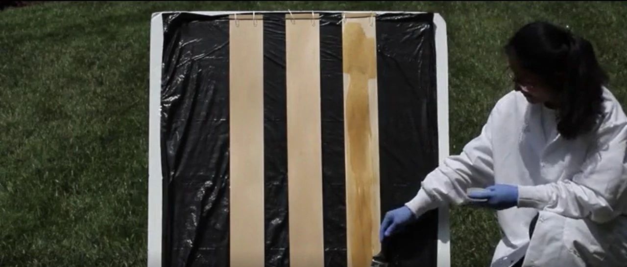 一小时木板变“玻璃”，“木头大王”胡良兵团队研制可图案化透明木材