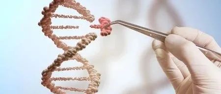 破解“不可成药”靶点，吴皓教授参与创立，新锐完成1亿美元B轮融资