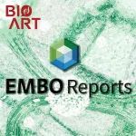 EMBO Reports | 李涛/李卫华团队发现G3BP1通过液-液相分离调控cGAS的关键机制