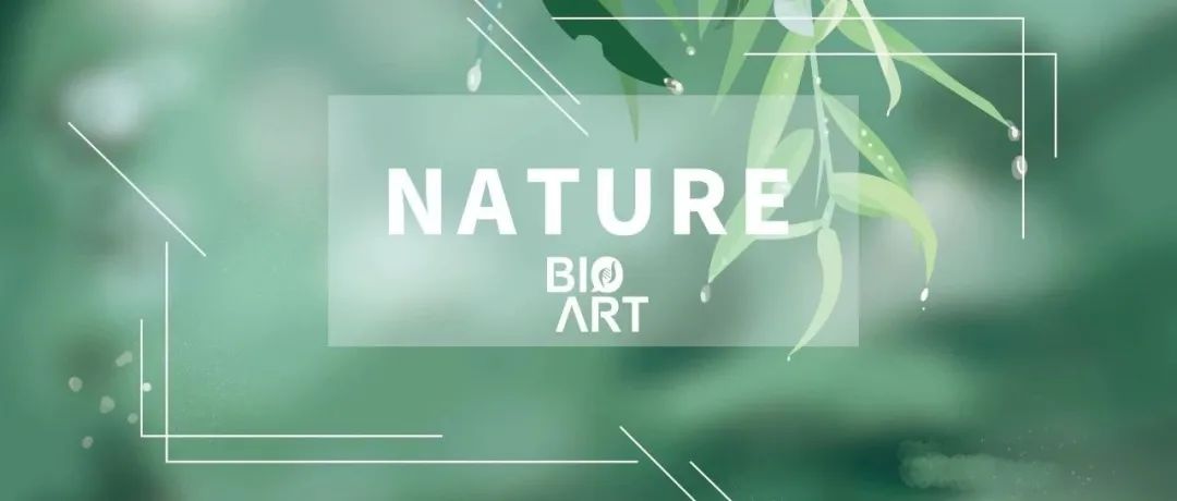 3篇Nature | 焦会朋/Manolis Pasparakis等揭示ZBP1促进ADAR1突变诱发的致病性干扰素应答