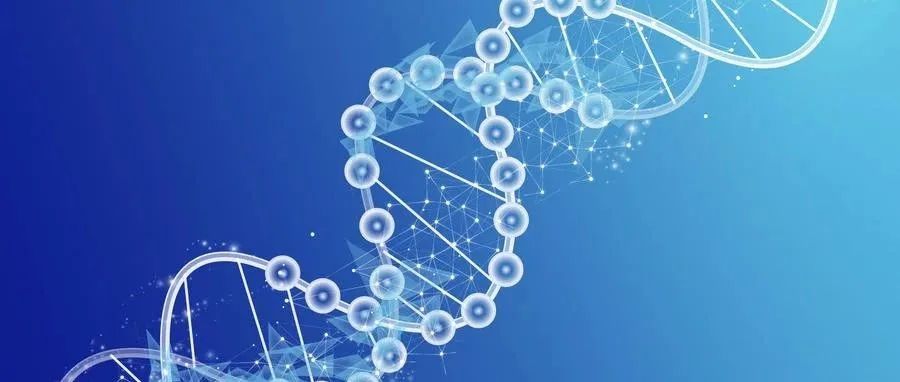 强强联合丨申基生物与迈安纳达成战略合作，助力核酸药物产业化发展！