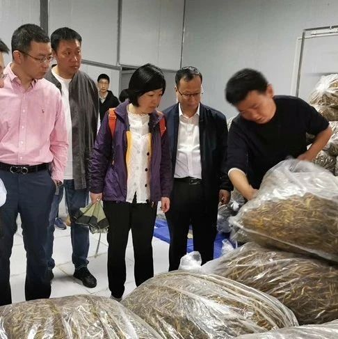 期待！杨浦同济科技园孵化器在正安设立共建基地