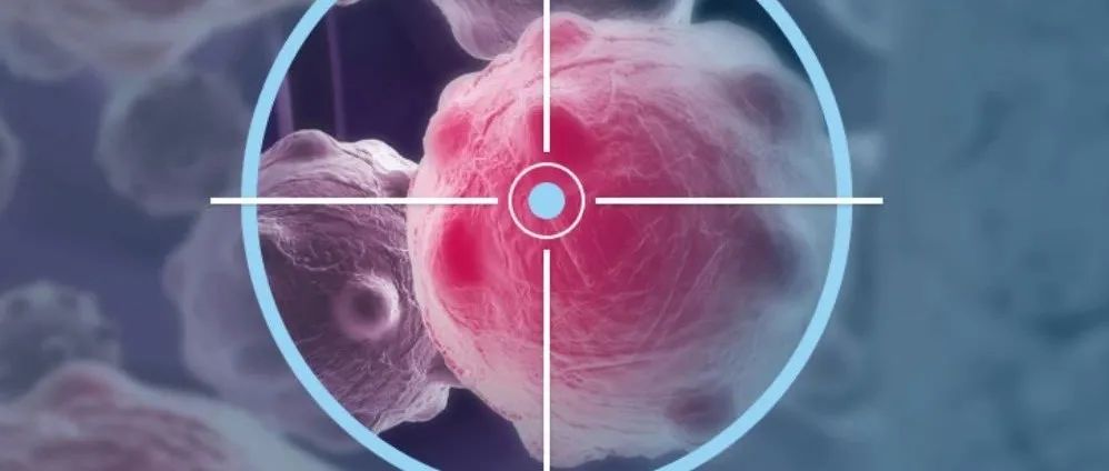 BioNews |Advaxis：+23%，宣布与Biosight签订最终合并协议
