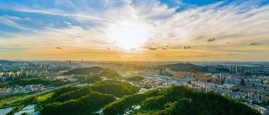 中山市委书记新年首场调研，为何选择火炬区？