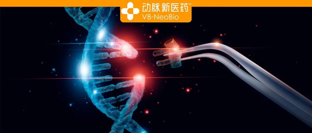 【首发】靶向端粒基因疗法开发企业愈方生物完成数千万元天使轮融资，上海生物医药创新转化基金领投