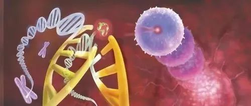 Cell | 基于35种癌症类型构建首个泛癌真菌微生物组图谱，揭示癌症与微生物相互作用