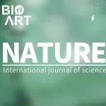 Nature | 子宫外胚胎发育过程重现新突破：滚筒培养系统
