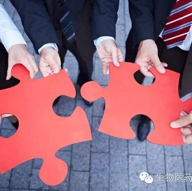 深至科技完成B轮亿元级融资，深耕AI超声专科化