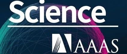 Science | 陈志坚团队揭示cGAS活性被选择性抑制的机理