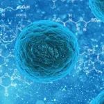 辉瑞“别吃我”靶点再下一城！22.6亿美元收购Trillium Therapeutics