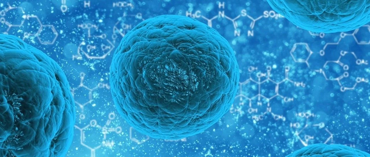 【Nature子刊】新型人源化小鼠模型揭示 肥大细胞在免疫疗法中的关键作用