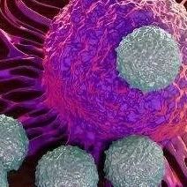 药融资丨永泰生物与T-Cure达成1200万美元的合作，推进TCR-T疗法