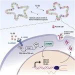Cell Stem Cell：新研究优化人类小肠类器官的产生