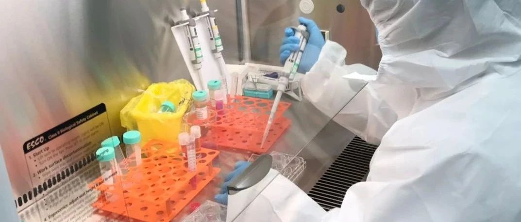 查尔斯河实验室与驾玉生物合作，扩大生物制药服务的能力