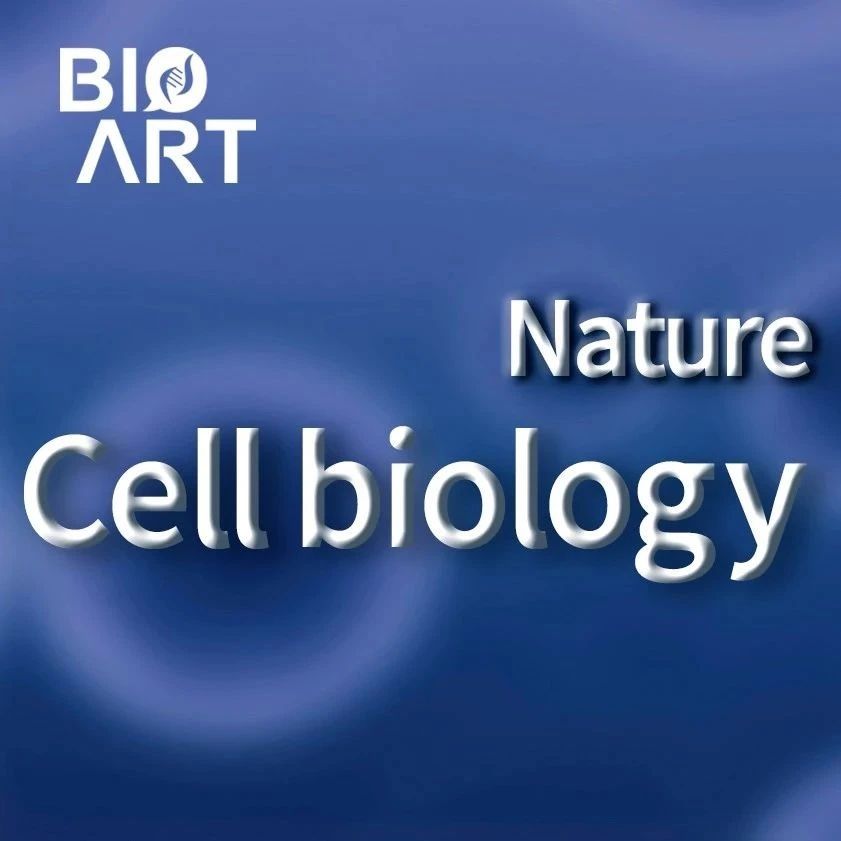 Nat Cell Biol | 邹伟平组揭示癌症中首个免疫原性长非编码RNA