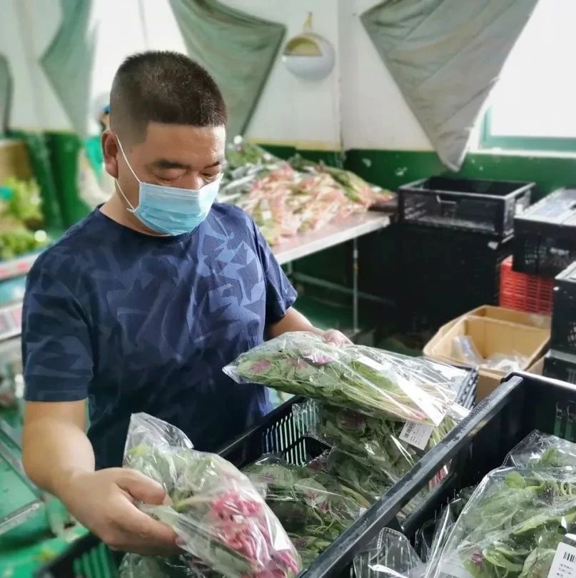 订单农业模式你了解吗？来看看重固的这家农业合作社