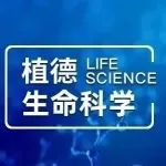 植德写意丨如何步入药品上市快车道——浅析优先审评审批程序