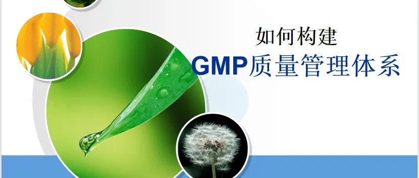 如何构建GMP质量管理体系