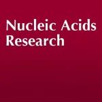 NAR | 郭雅彬/张寅合作利用CRISPR-Cas9靶向基因组重复序列实现人类基因组全局性染色体重排