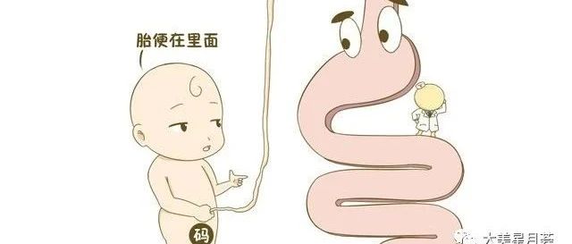 荟享育儿经 | 关于胎便的大学问，宝宝大便知多少