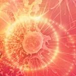 IPO早知道 | LAVA Therapeutics:新型T细胞双抗公司申请1亿美元IPO上市