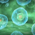 Cell：重大进展！利用改造的病毒样颗粒在体内高效递送基因编辑蛋白到宿主细胞中