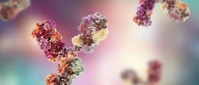 礼来、GSK、Vir合作开发中和抗体组合疗法；FDA批准首款口服狼疮性肾炎创新疗法