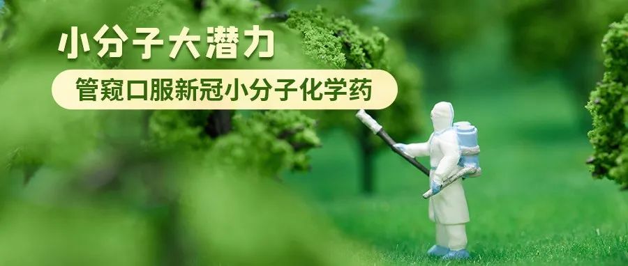 研发 | 小分子大潜力 管窥口服新冠小分子化学药
