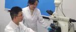 中南大学吕奔教授团队发现重症中暑诱导细胞死亡新机制，论文发在Science
