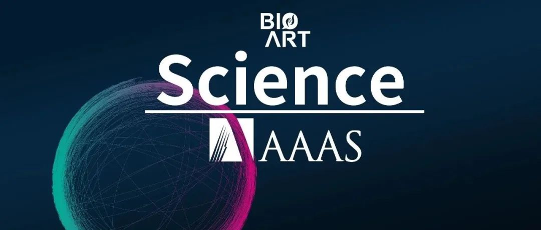 Science | 蛋白质组学研究揭开应激颗粒解聚与泛素化的分子机制
