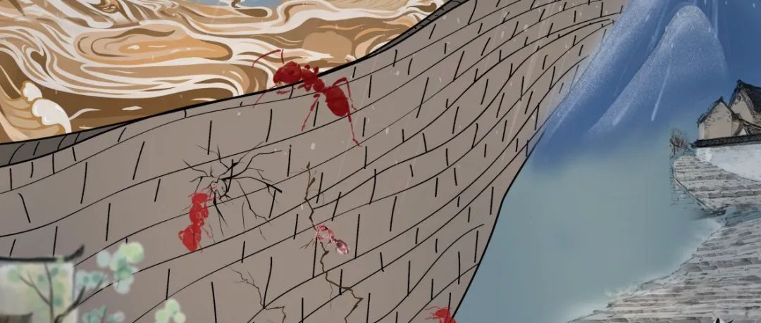 Adv Sci封面文章!陆军军医大学第二附属医院赵景宏团队报道固有免疫反应促进心血管疾病新机制